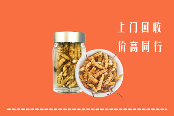 九原区回收冬虫夏草
